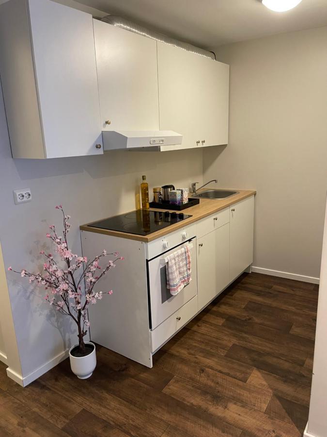 Central Studio Apartment Στάβανγκερ Εξωτερικό φωτογραφία