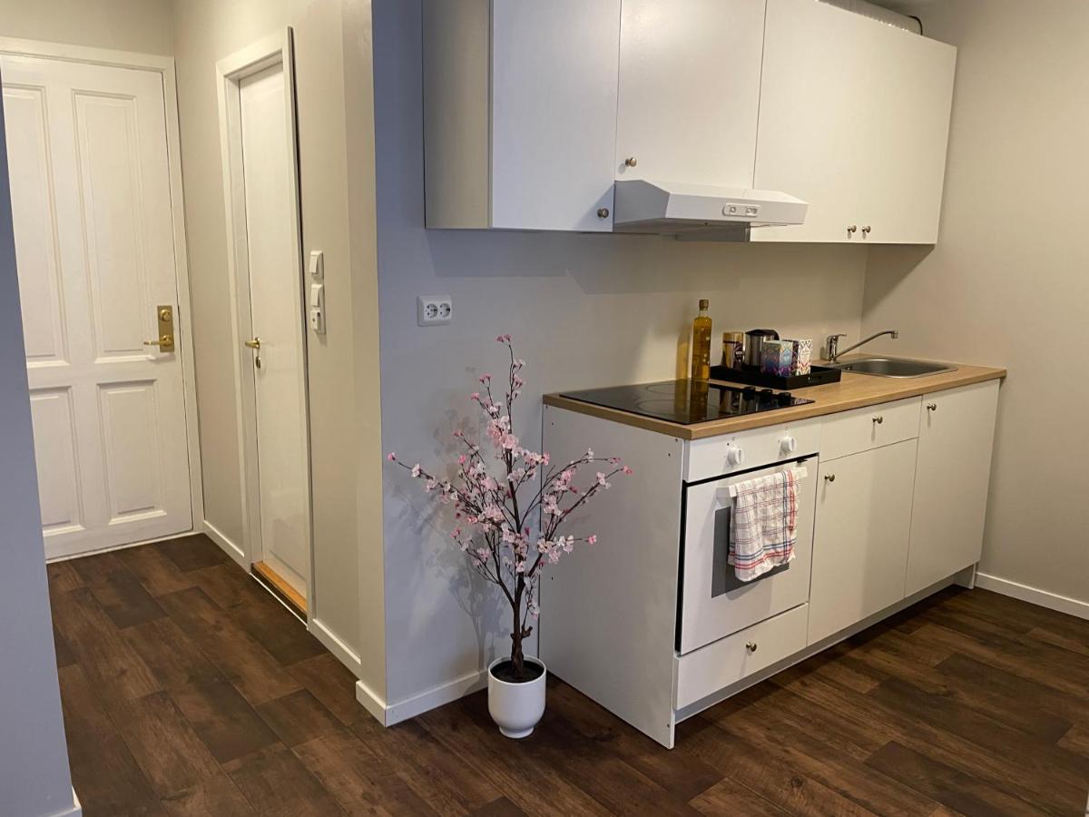 Central Studio Apartment Στάβανγκερ Εξωτερικό φωτογραφία